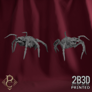 Riteris spider companions no base