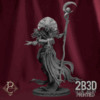 3D render of The Sorcerer, arcane master miniature from the Change Campaign by Parasite Collectibles and 2B3D Printed.