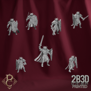 Complete Unascendeds and Lightguard Paladin set without bases from the Divine Conflict Kickstarter.